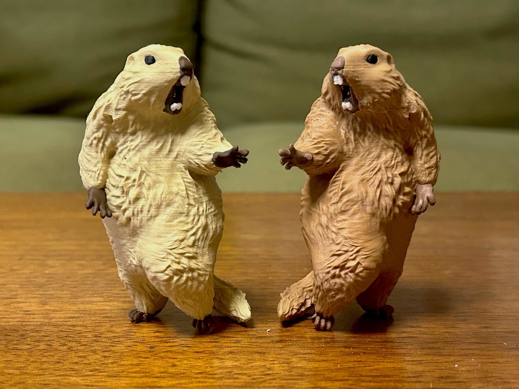 (4月発送予約) びっくりマーモットアナザー