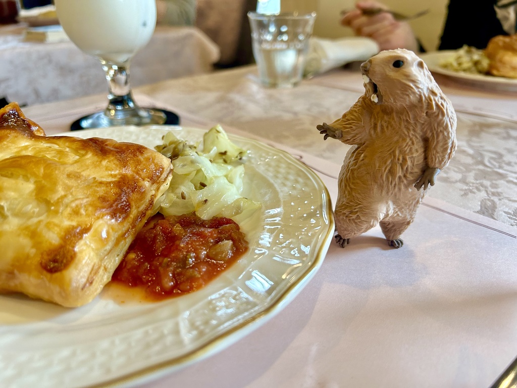 <予約2026年1月発送> びっくりマーモット