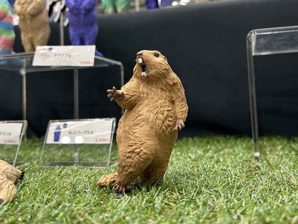 <予約2026年1月発送> びっくりマーモット