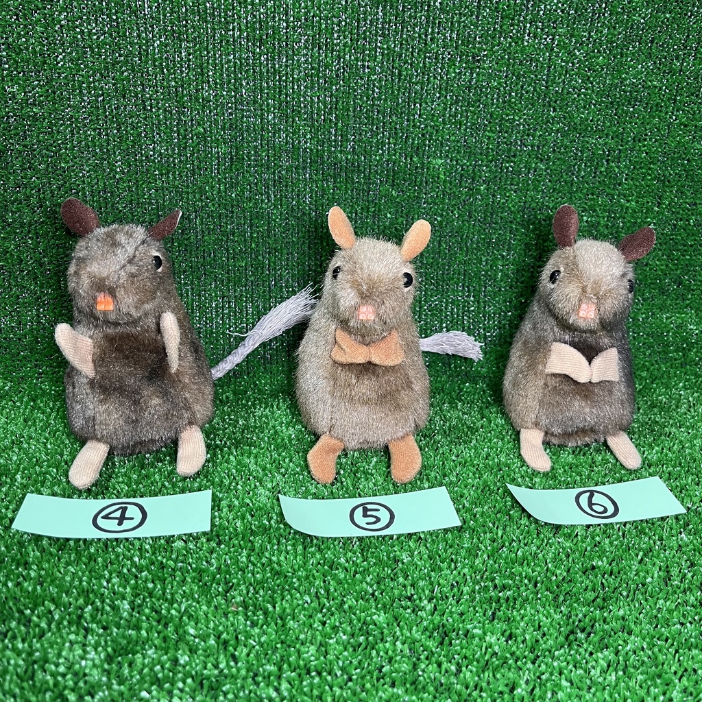 健康なデグーたち