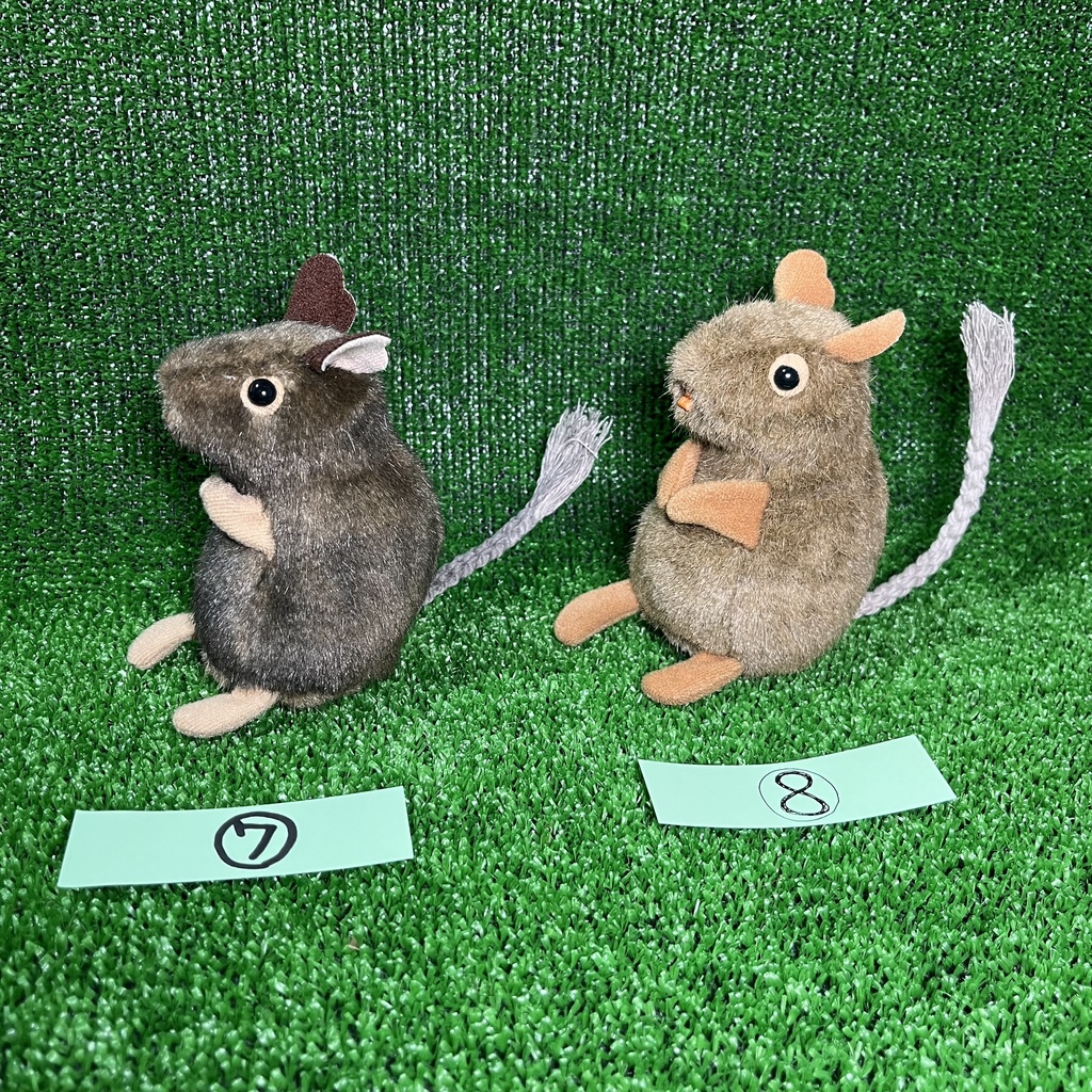 健康なデグーたち