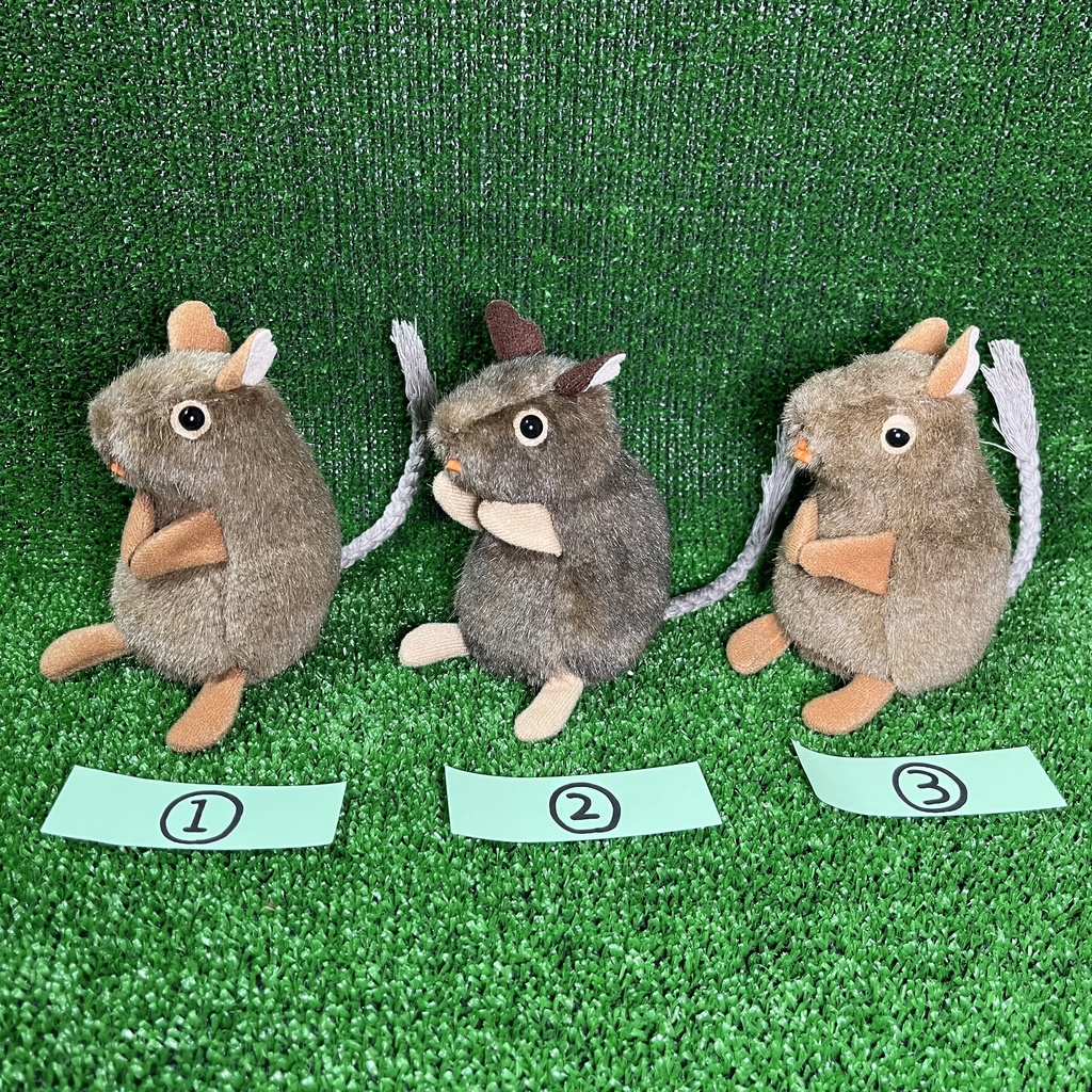 健康なデグーたち