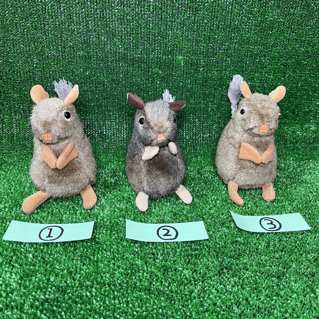 健康なデグーたち