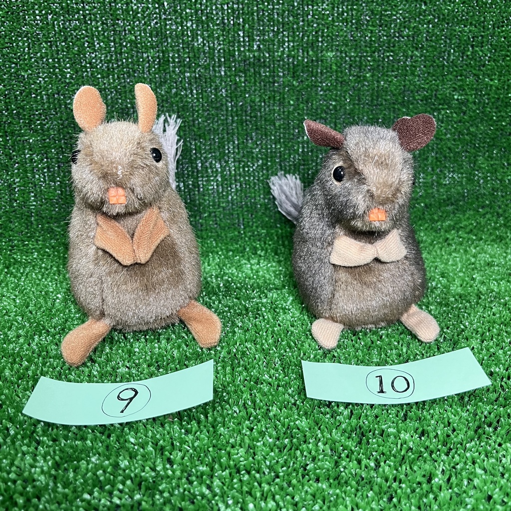 健康なデグーたち