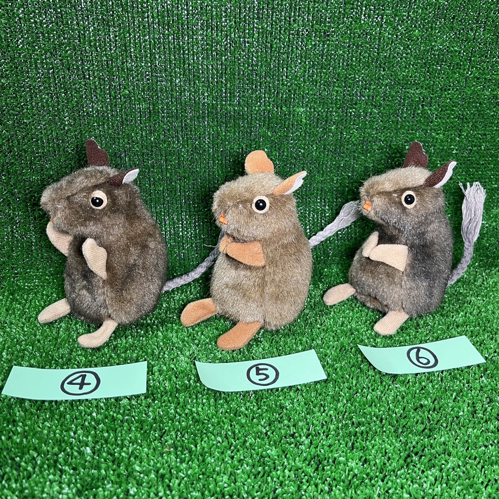 健康なデグーたち