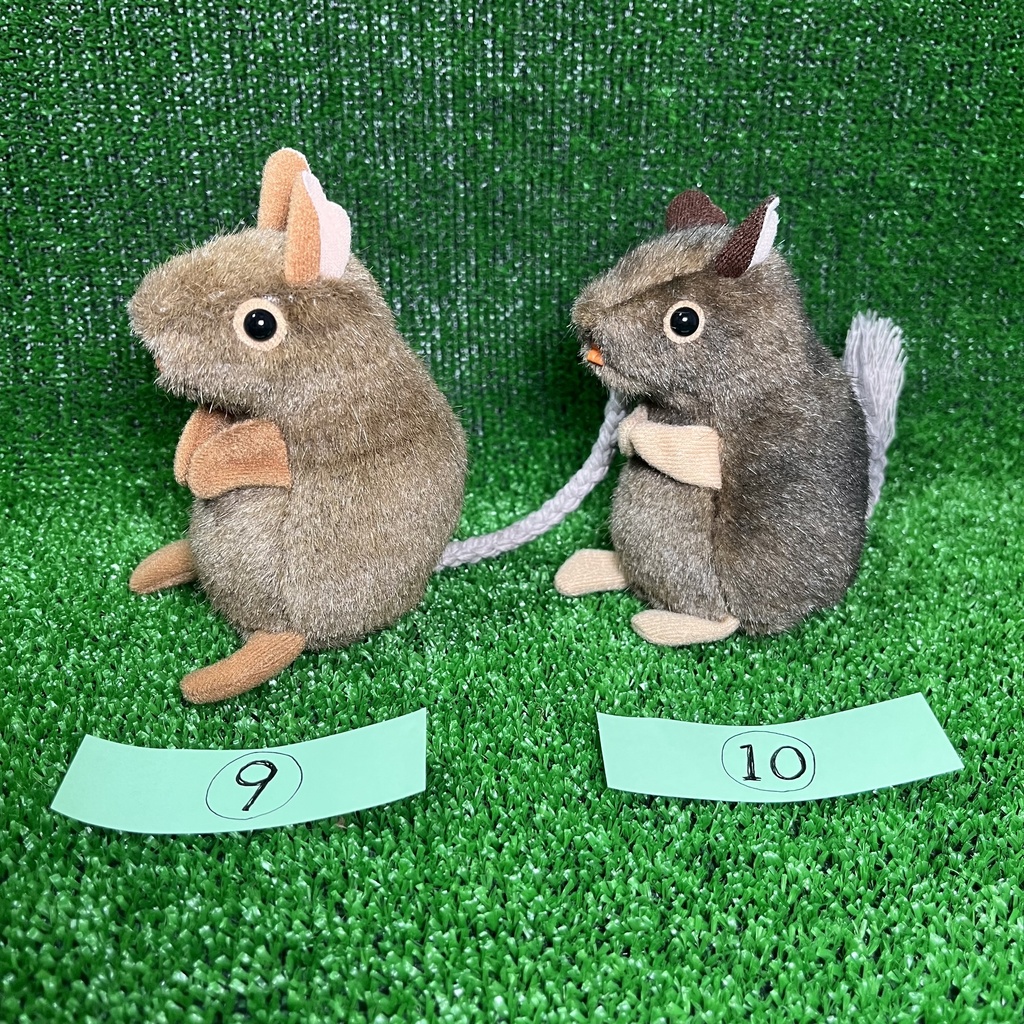 健康なデグーたち