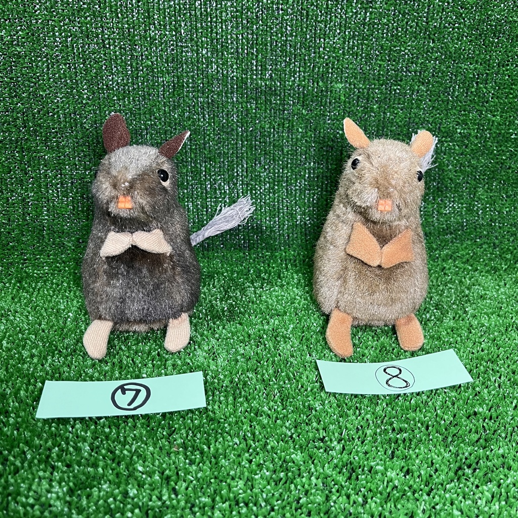 健康なデグーたち