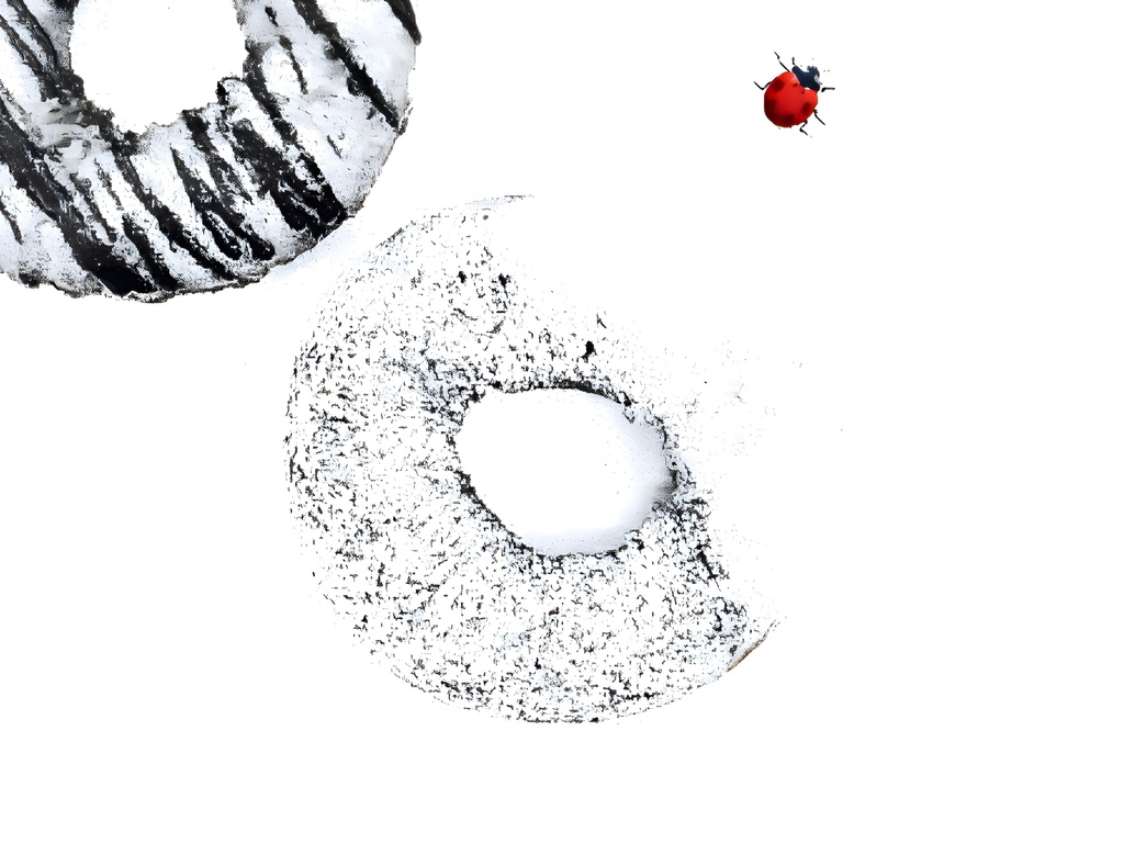 どぉなっつとてんとう虫