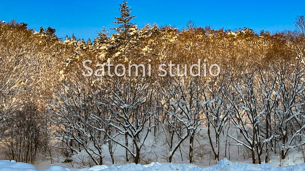 冬の森の光 壁紙セット(スマホ・iPad・PC対応|10枚)