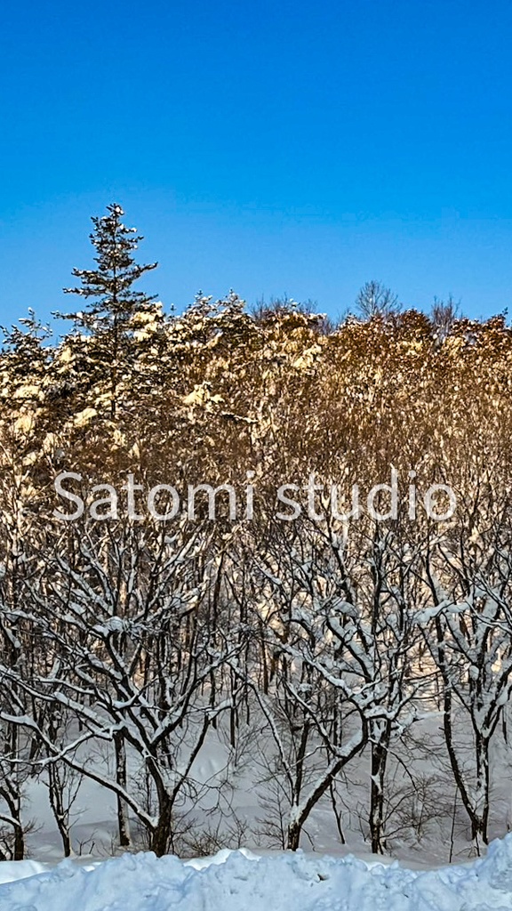 冬の森の光 壁紙セット(スマホ・iPad・PC対応|10枚)