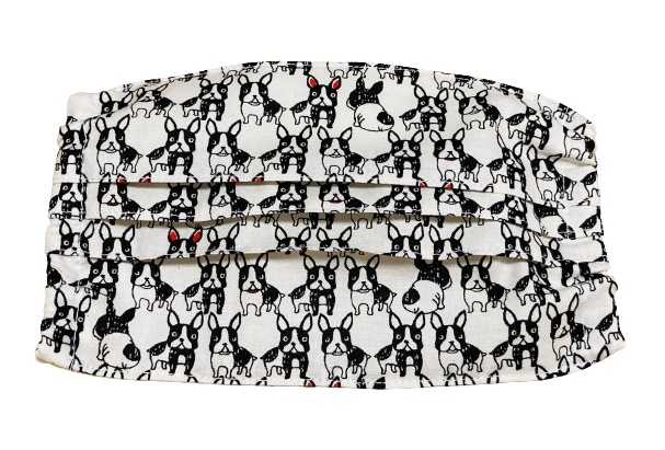 マスクカバー(プリーツ仕立て)+おまけ付き(可愛い君にメロメロ) 飛沫感染防止+肌荒れ防止