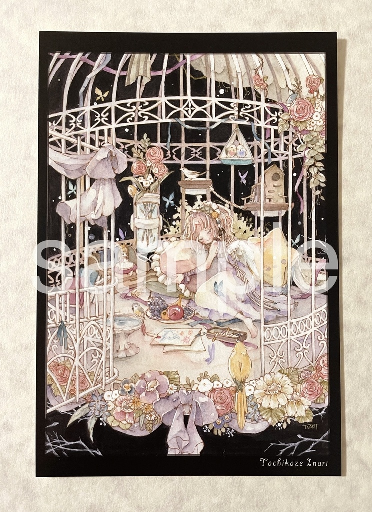 safe cage.
