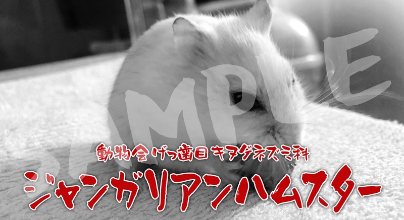 ジャンハム登場シーンTシャツ