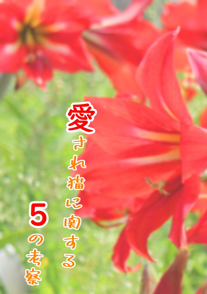 愛され猫に関する5の考察