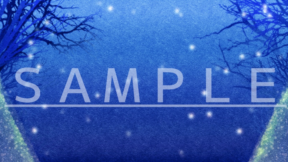 【動く】背景素材「冬の夜」【2点セット】