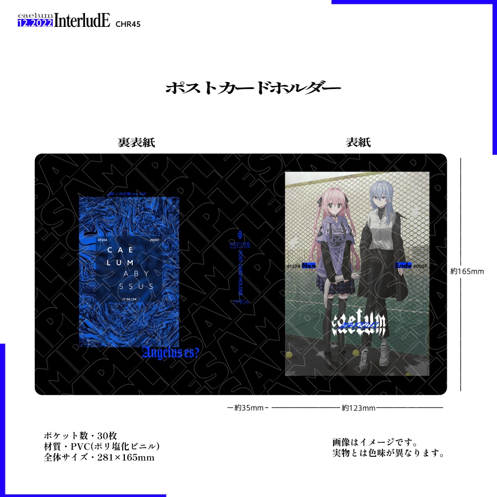 caelum『ポストカードホルダー＋ポストカード』