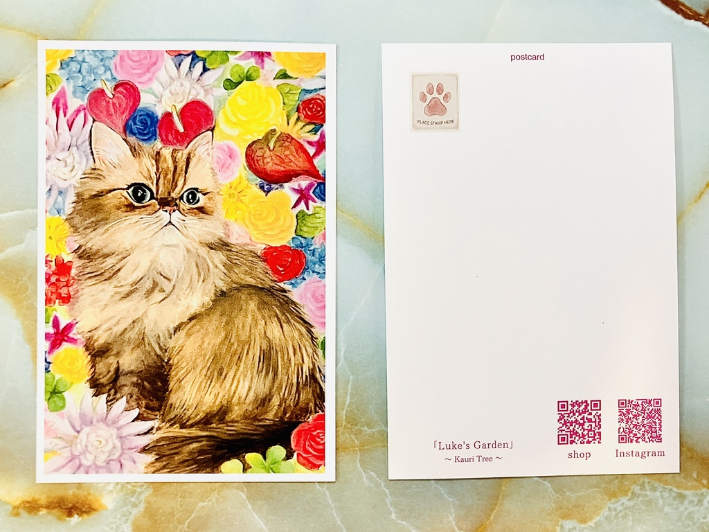 Kauri Tree オリジナルポストカード6枚組セット