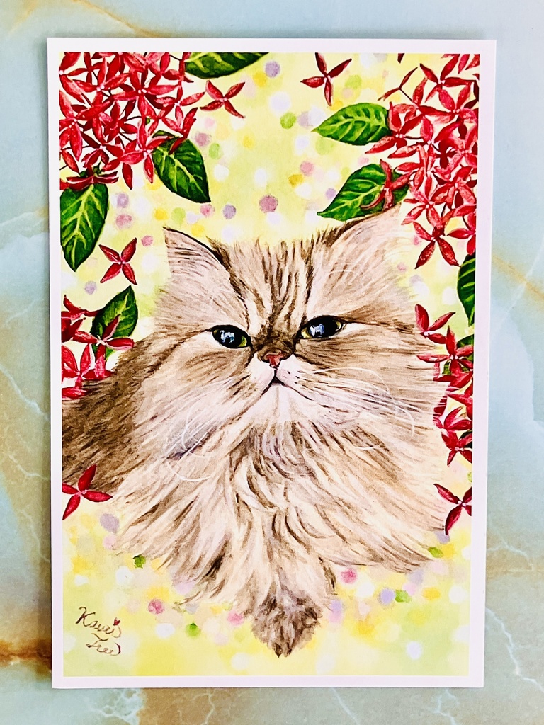 Kauri Tree オリジナルポストカード6枚組セット