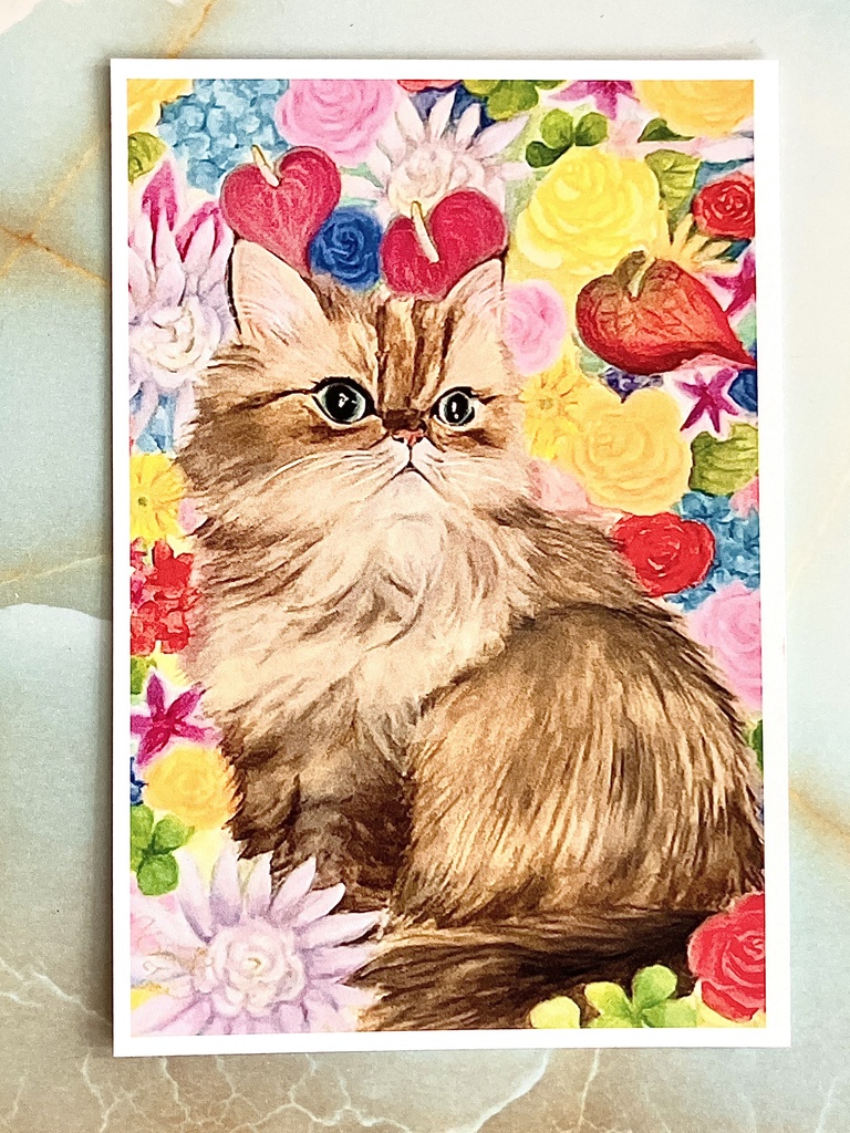 Kauri Tree オリジナルポストカード6枚組セット