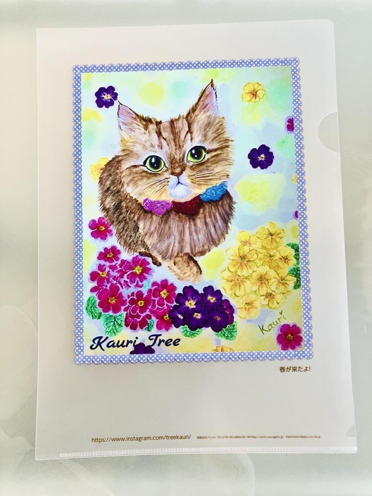 Kauri Tree 懐かしシリーズ クリアファイル3枚セット