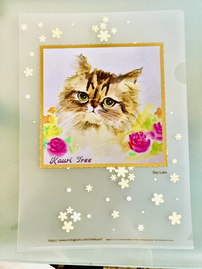 Kauri Tree 懐かしシリーズ クリアファイル3枚セット