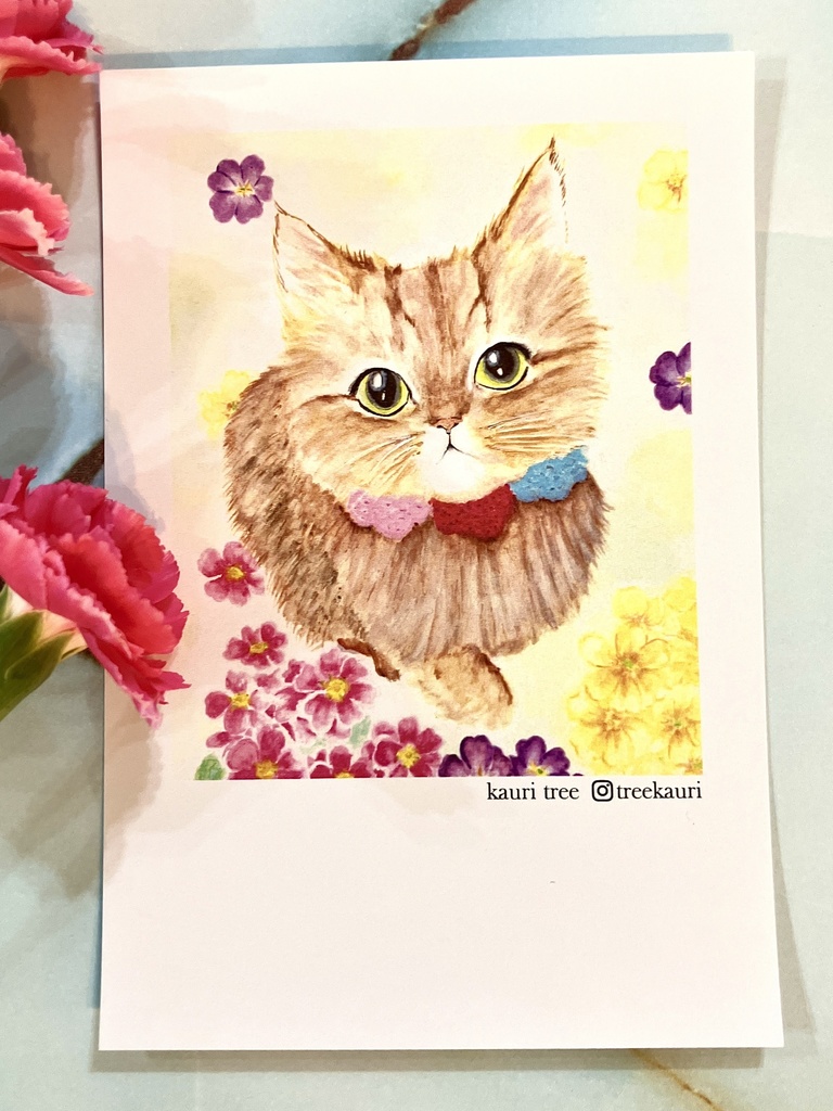 Kauri Tree 懐かしシリーズ ポストカード5枚組セット