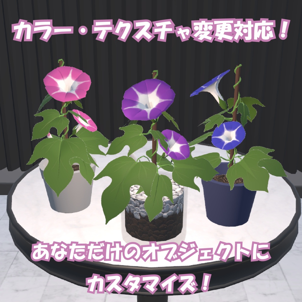 アサガオ / MorningGlory