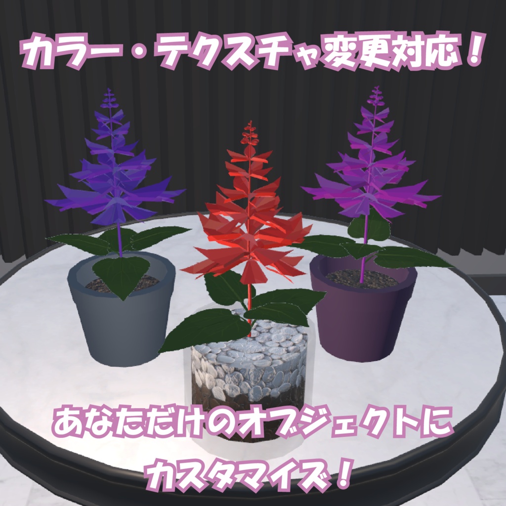 サルビア / Salvia