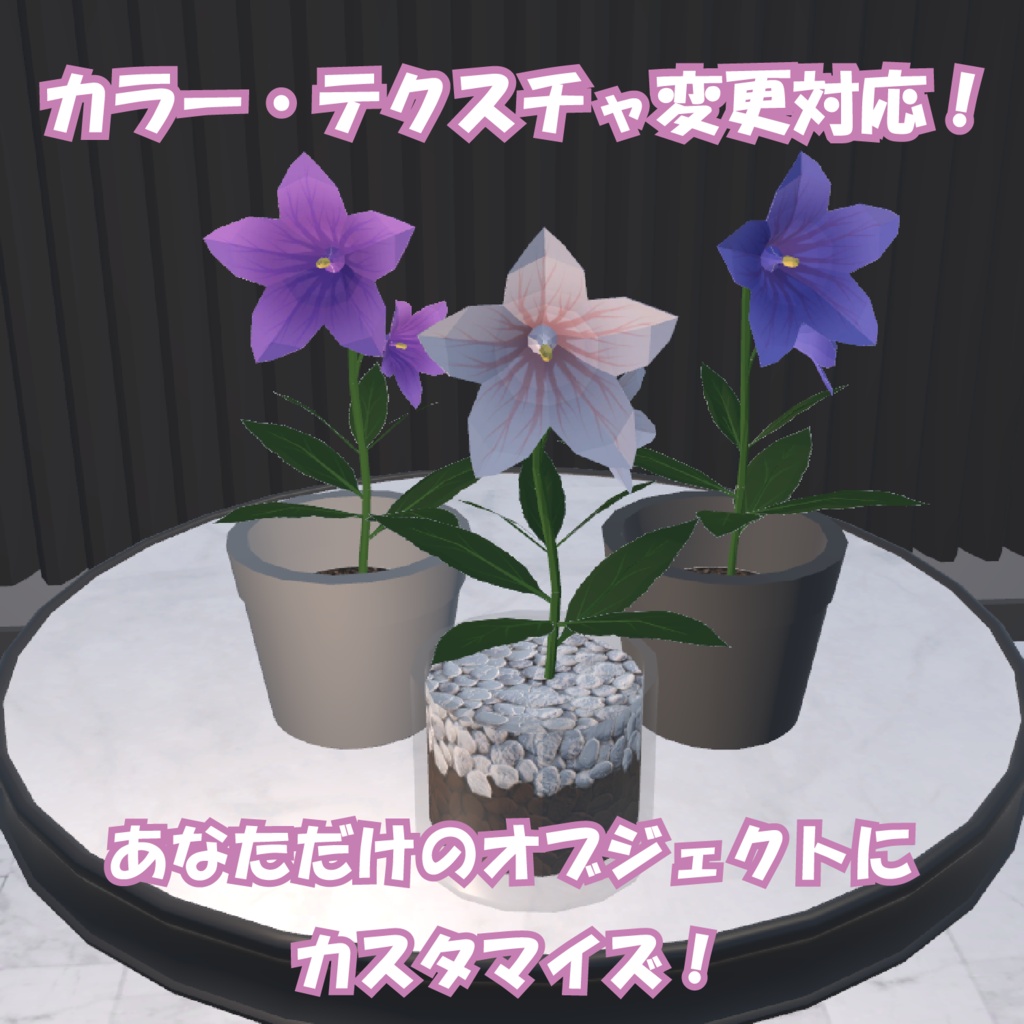 キキョウ / BalloonFlower