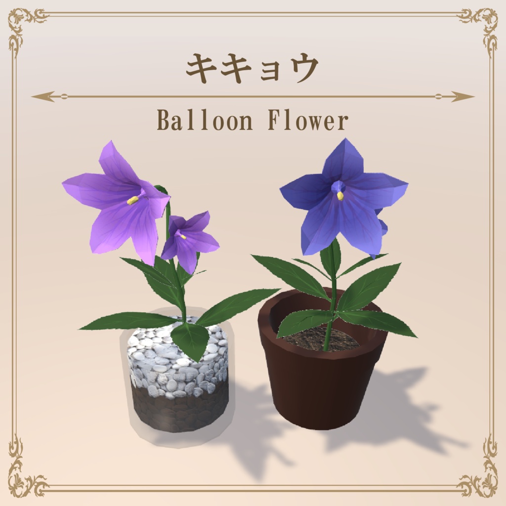 キキョウ / BalloonFlower