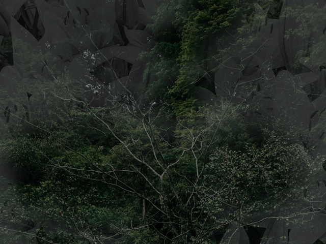 ネイロ(short ver.)