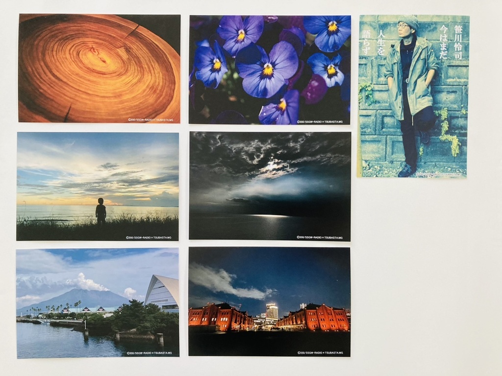 550ポストカード７種盛りセット