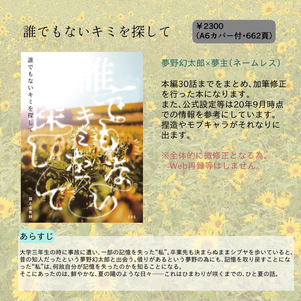 誰でもないキミを探して(再販予定なし)