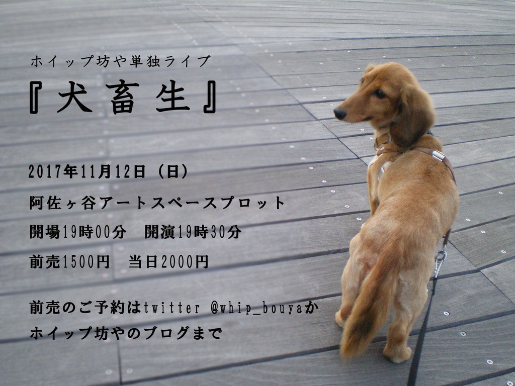 ホイップ坊や第一回単独ライブ『犬畜生』DVD