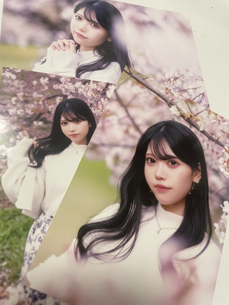 【桜】ブロマイド3枚セット