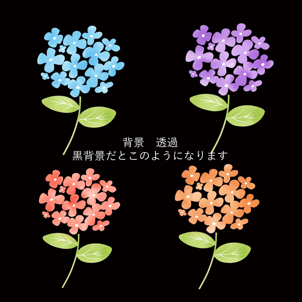 水彩風 紫陽花の4色セット
