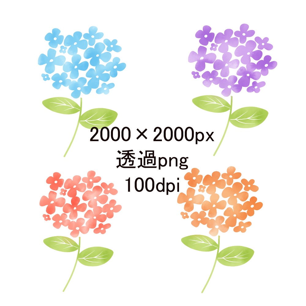 水彩風 紫陽花の4色セット