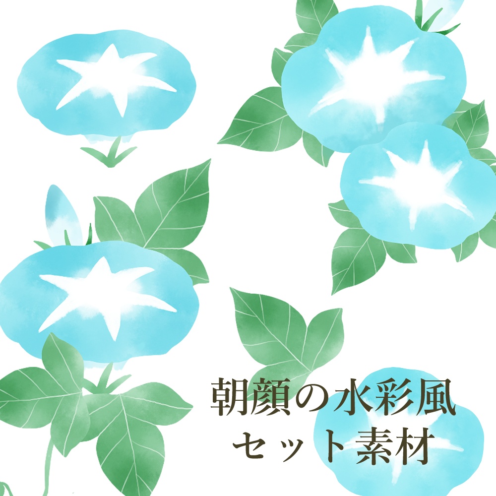 朝顔の水彩風セット素材