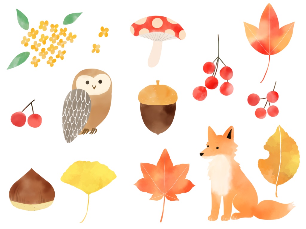 水彩風 秋のイラスト素材セット/きつね・フクロウ・どんぐりなど