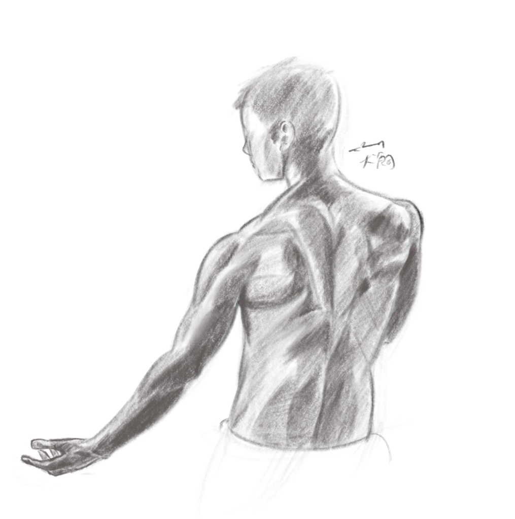 本物に近い筆っぽいブラシと鉛筆っぽいブラシ※procreate専用