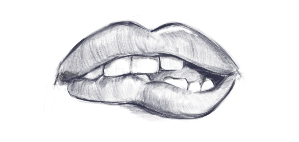 本物に近い筆っぽいブラシと鉛筆っぽいブラシ※procreate専用