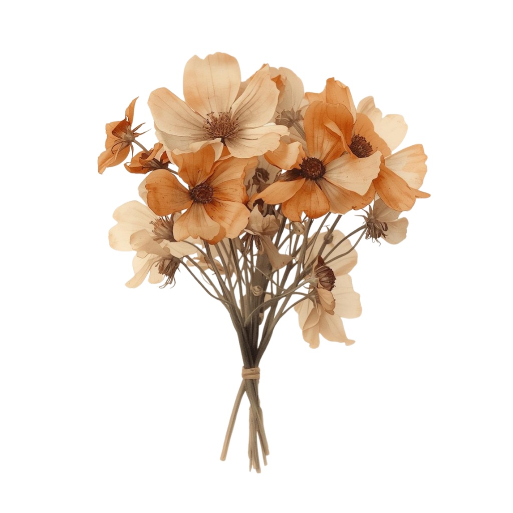 おうちリラックスモチーフ クリップアート(10点)