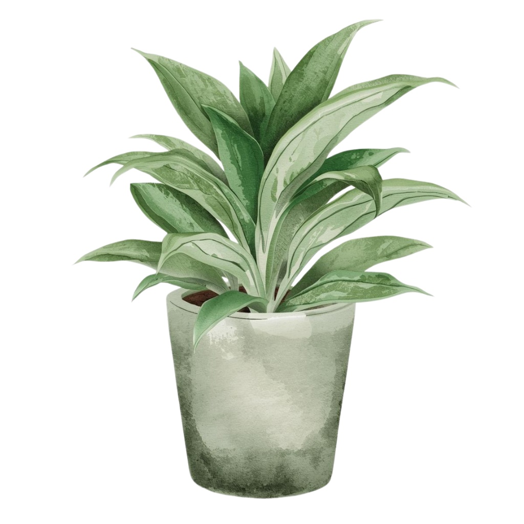 おうちリラックスvol.2|くすみグリーンの水彩クリップアート10点セット