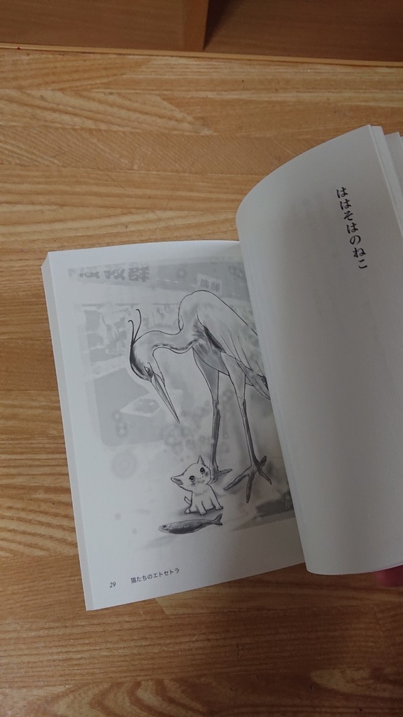 猫たちのエトセトラ