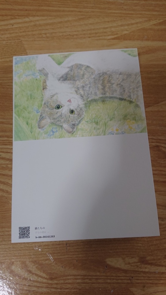 猫たちのエトセトラ