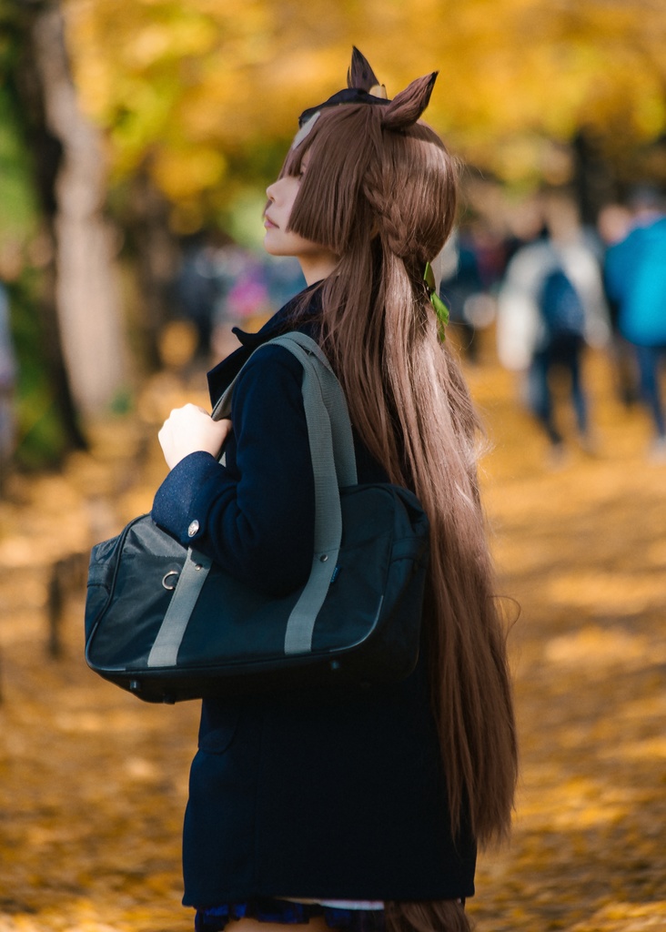 【C105】Diamant S【写真集】