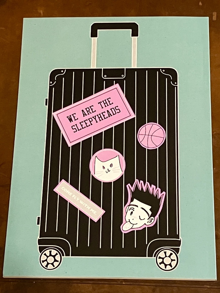 WE ARE THE SLEEPYHEADS