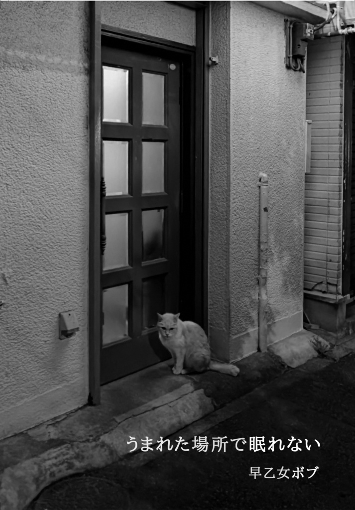 詩集『うまれた場所で眠れない』