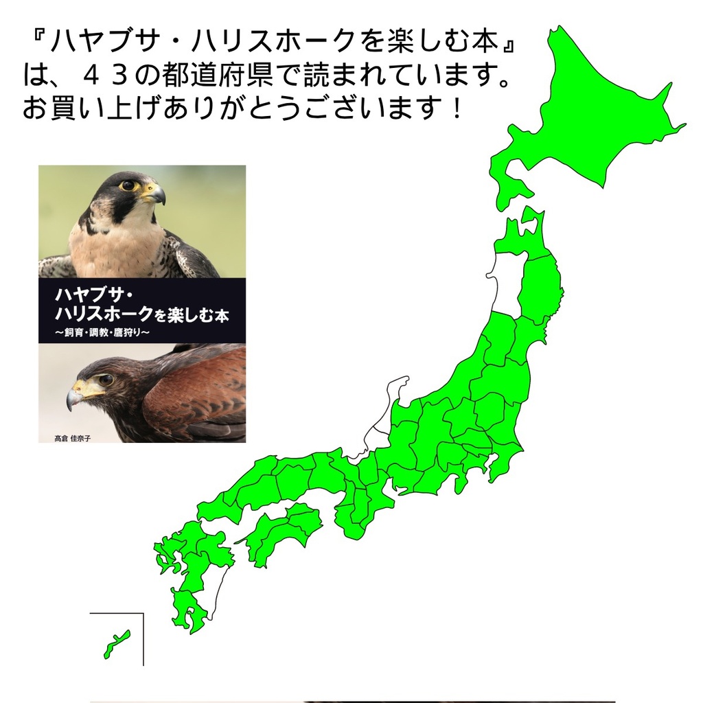 【第二版】ハヤブサ・ハリスホークを楽しむ本 ~飼育・調教・鷹狩り〜