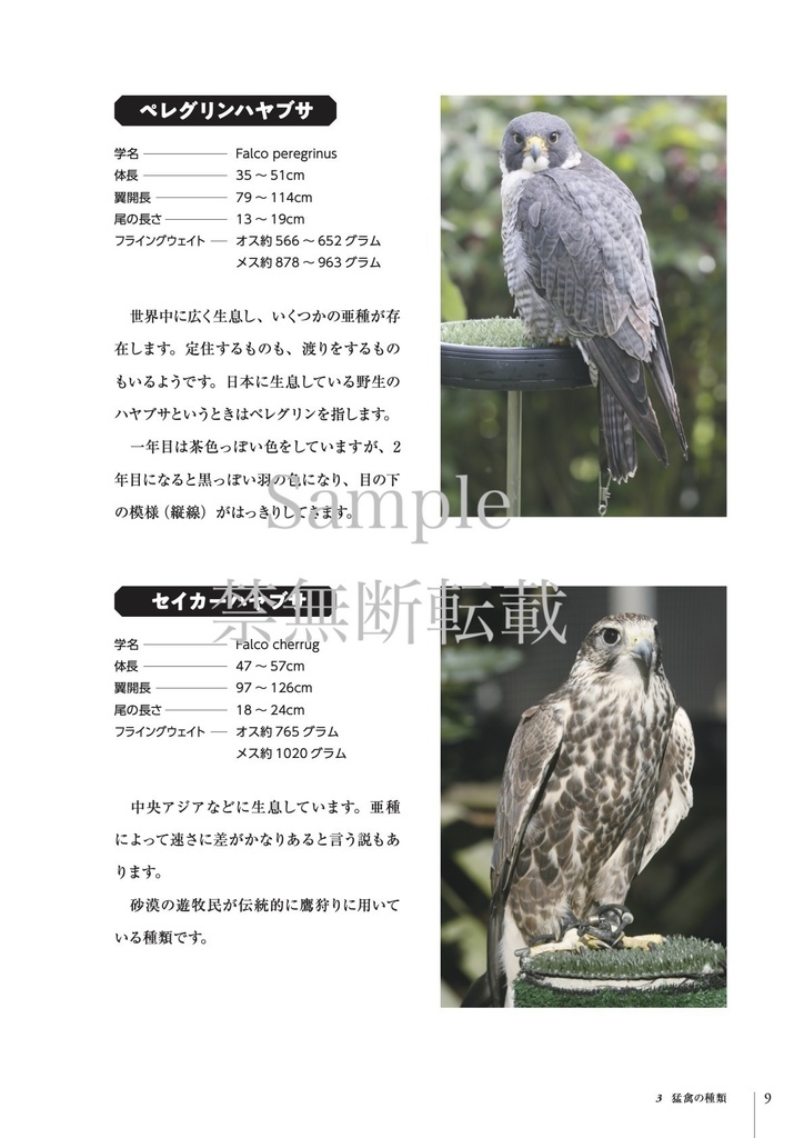 【第二版】ハヤブサ・ハリスホークを楽しむ本 ~飼育・調教・鷹狩り〜